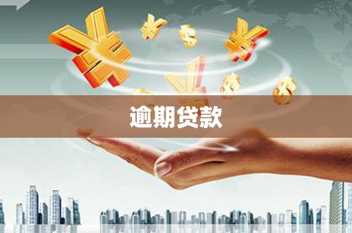 阳新逾期贷款
