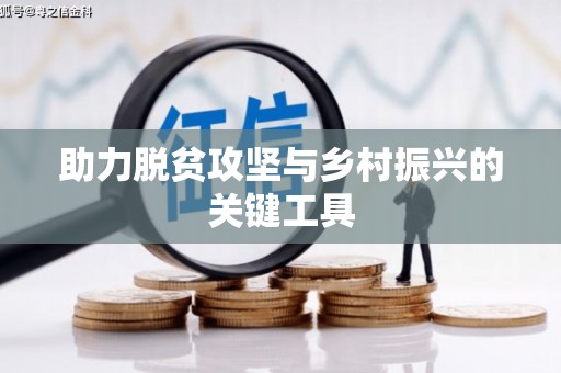 阳新助力脱贫攻坚与乡村振兴的关键工具