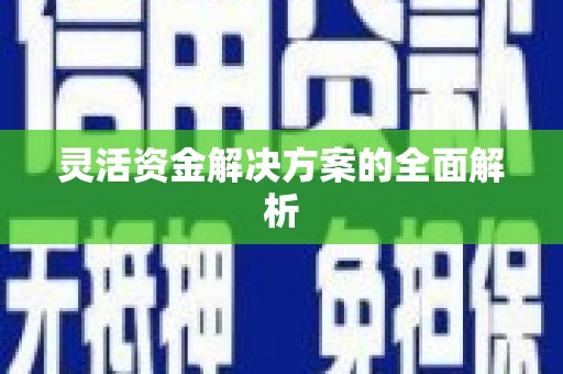 阳新灵活资金解决方案的全面解析