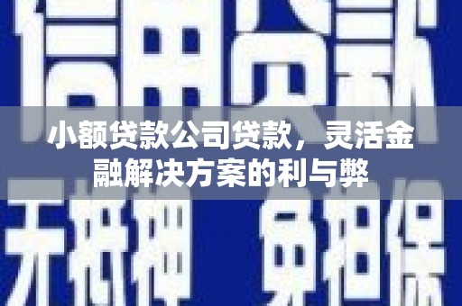阳新小额贷款公司贷款，灵活金融解决方案的利与弊