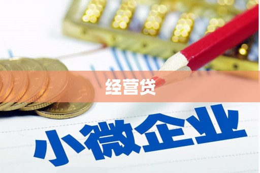 阳新经营贷